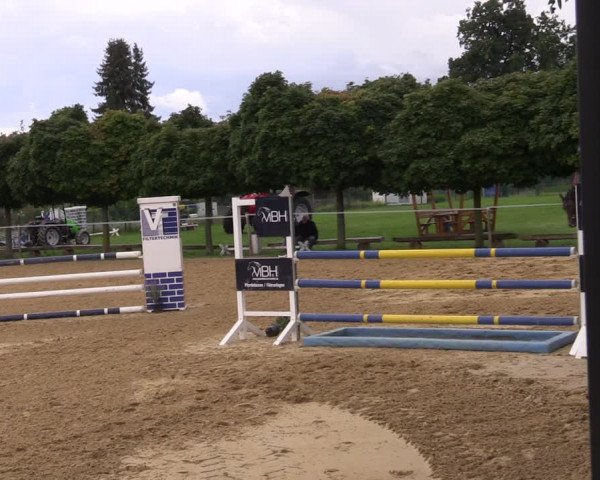 Reitturnier Birkungen 2023