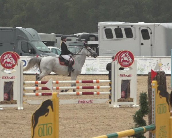 Reitturnier Ranshofen - Braunau am Inn 2023