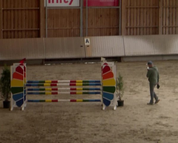 Reitturnier Winterthur 2023