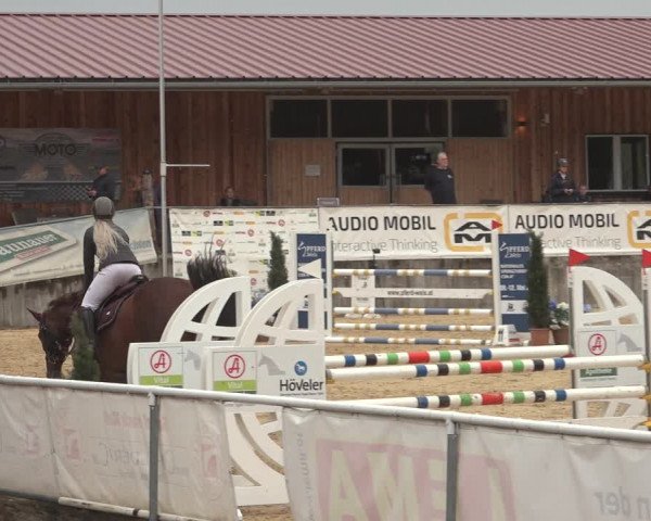 Reitturnier Ranshofen - Braunau am Inn 2023