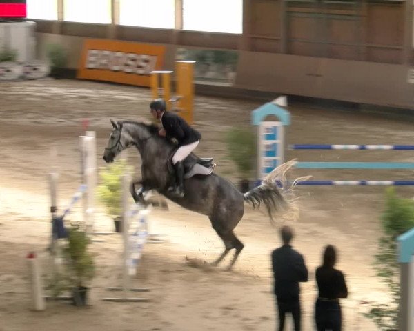 Reitturnier Winterthur 2023