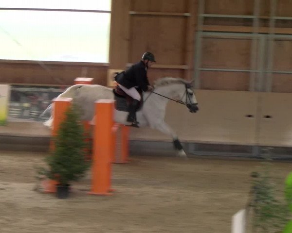 Reitturnier Winterthur 2023