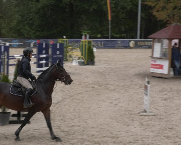 Reitturnier Karlsfeld 2023