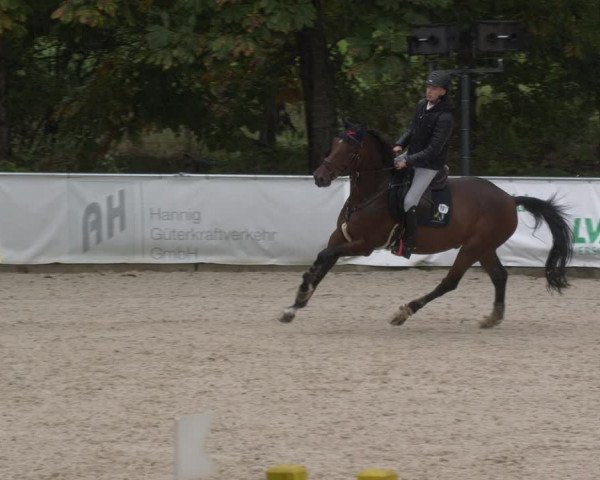 Reitturnier Karlsfeld 2023