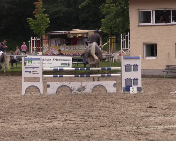 Reitturnier Lgl.-Oberhain, B95 2021