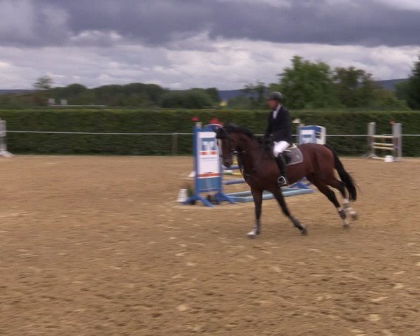 Reitturnier Birkungen 2023