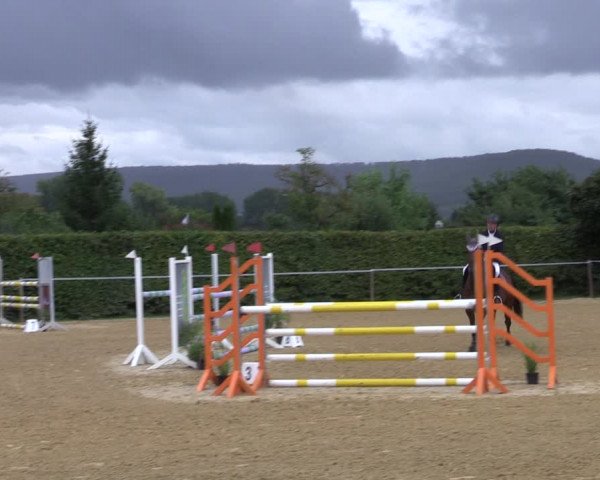 Reitturnier Birkungen 2023