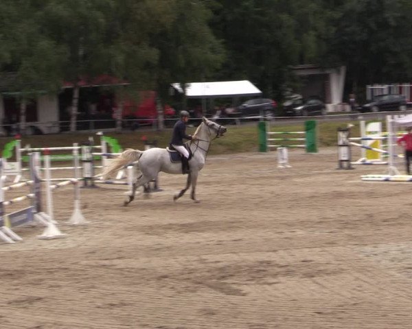 Reitturnier Lgl.-Oberhain, B95 2021