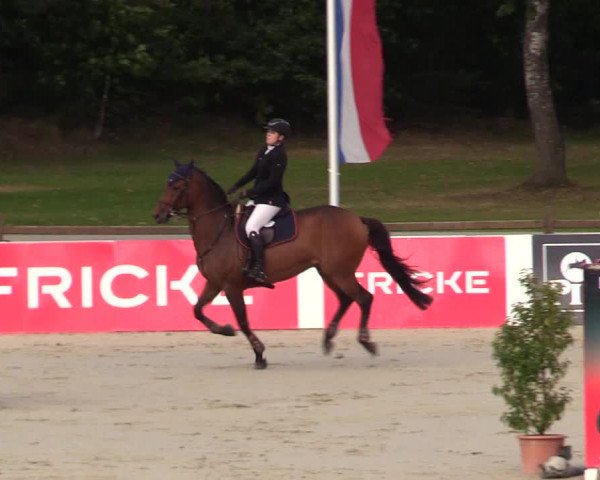 Reitturnier Westergellersen 2023