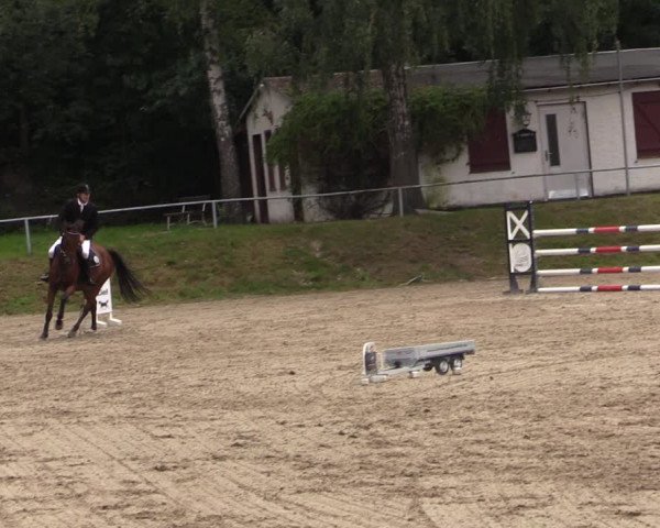 Reitturnier Lgl.-Oberhain, B95 2021