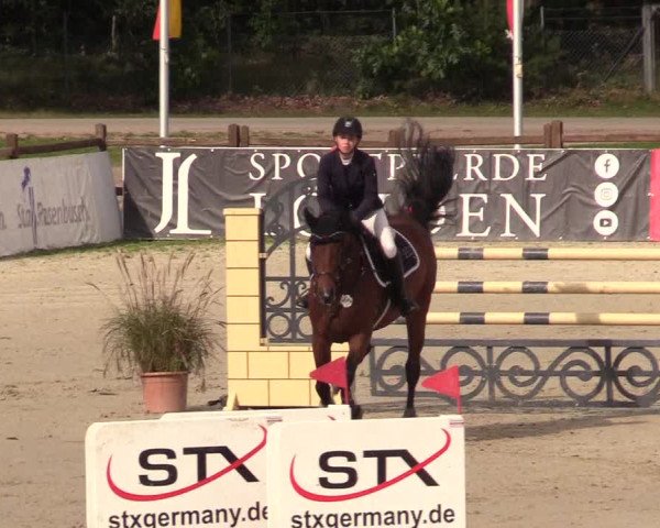 Reitturnier Westergellersen 2023