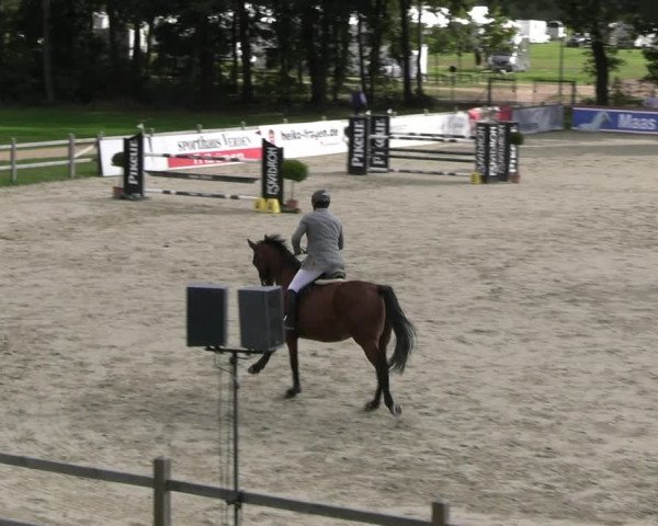Reitturnier Westergellersen 2023