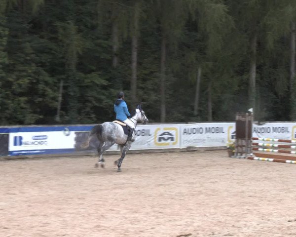 Reitturnier Ranshofen - Braunau am Inn 2023