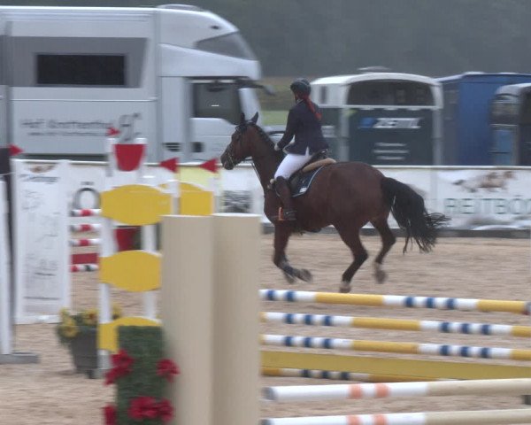 Reitturnier Ranshofen - Braunau am Inn 2023