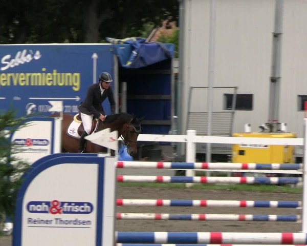 Reitturnier Mildstedt - JTN 2023
