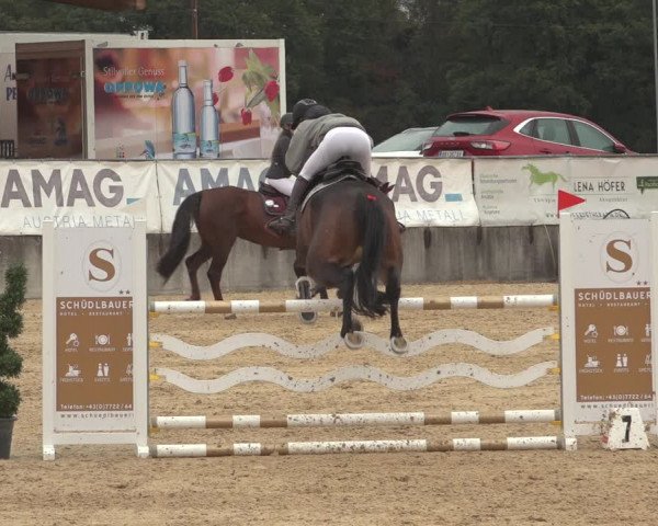 Reitturnier Ranshofen - Braunau am Inn 2023