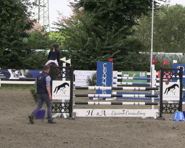 Reitturnier Mildstedt - JTN 2023