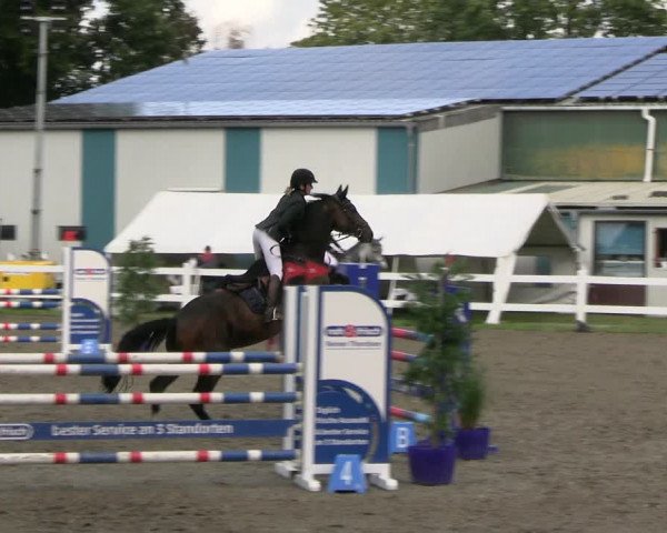 Reitturnier Mildstedt - JTN 2023