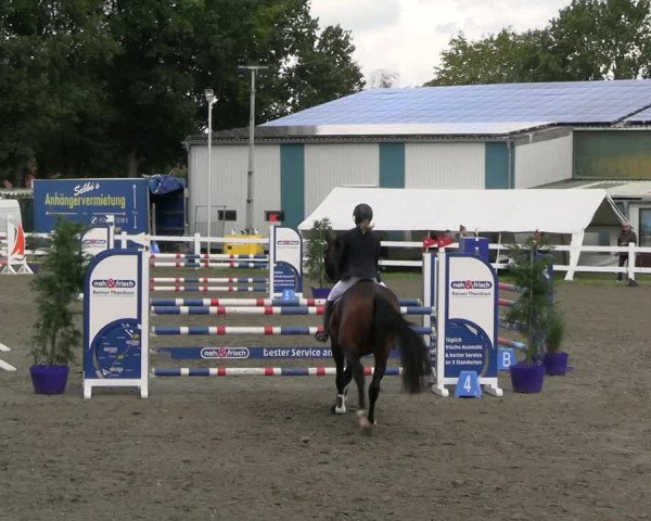 Reitturnier Mildstedt - JTN 2023