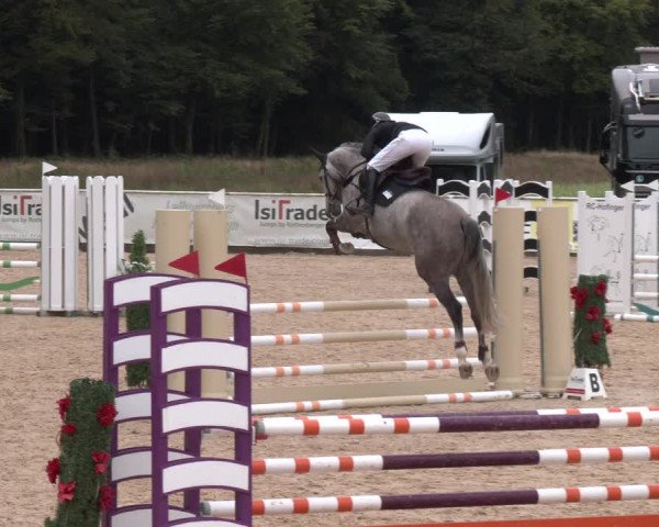 Reitturnier Ranshofen - Braunau am Inn 2023