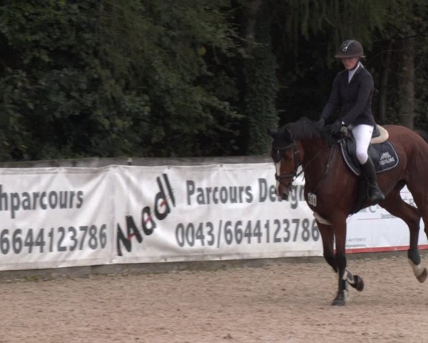 Reitturnier Ranshofen - Braunau am Inn 2023