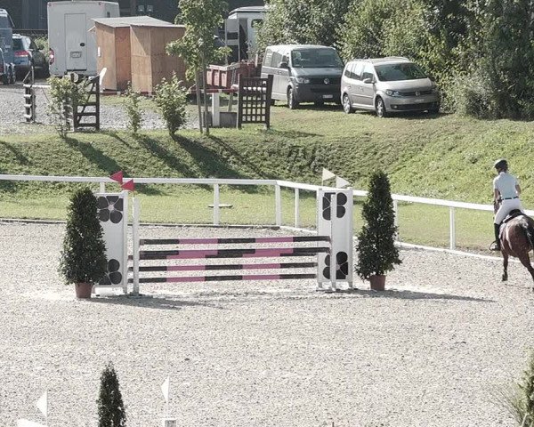 Pferdesporttage Bülach 2021
