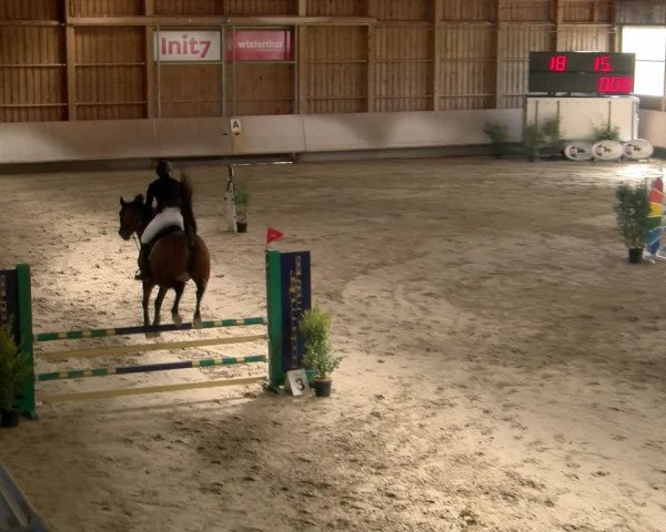 Reitturnier Winterthur 2023