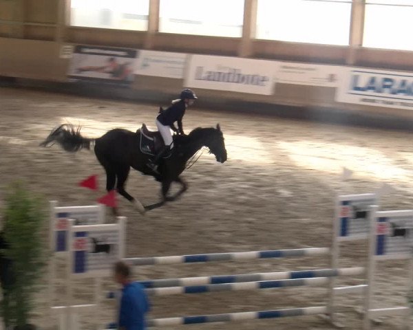 Reitturnier Winterthur 2023
