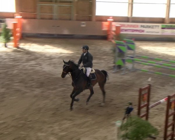Reitturnier Winterthur 2023