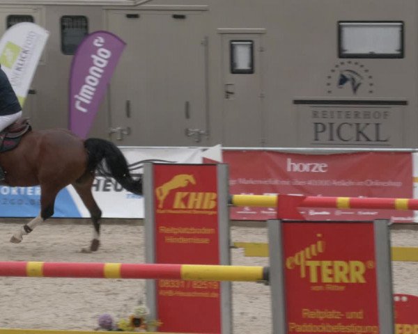 Reitturnier Karlsfeld 2023