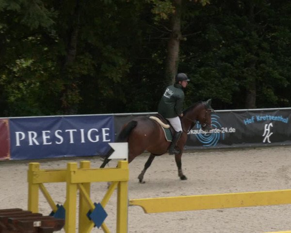 Reitturnier Karlsfeld 2023