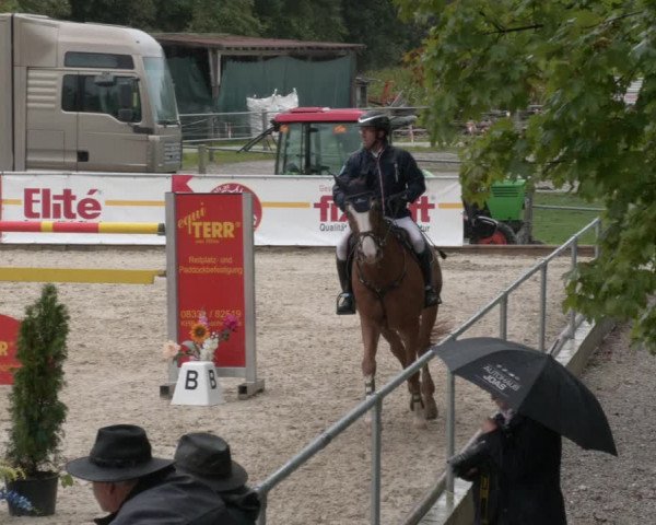 Reitturnier Karlsfeld 2023