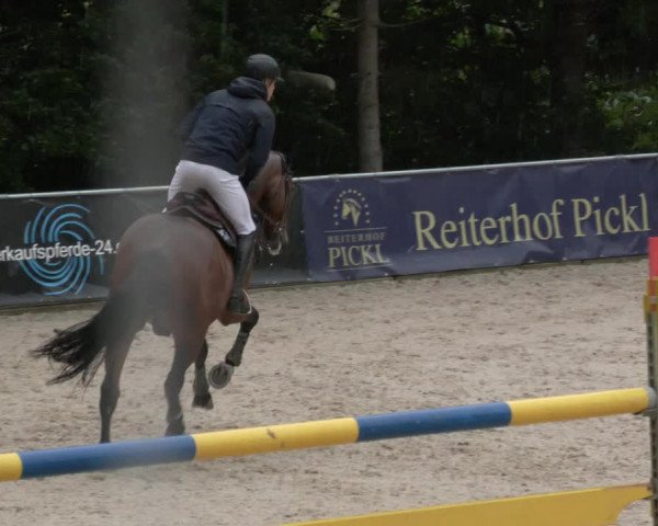 Reitturnier Karlsfeld 2023