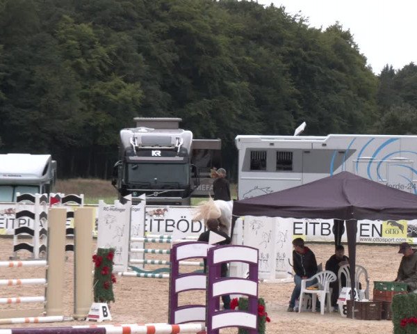 Reitturnier Ranshofen - Braunau am Inn 2023