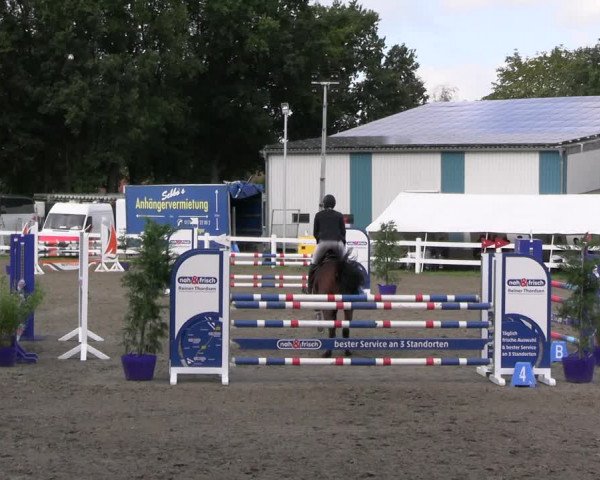 Reitturnier Mildstedt - JTN 2023