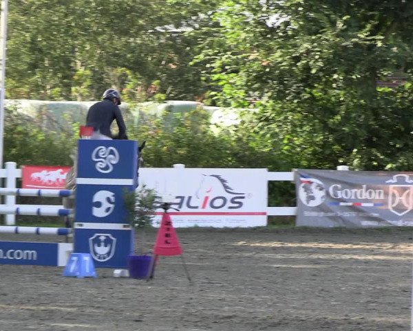 Reitturnier Mildstedt - JTN 2023