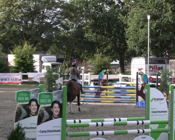 Reitturnier Mildstedt - JTN 2023