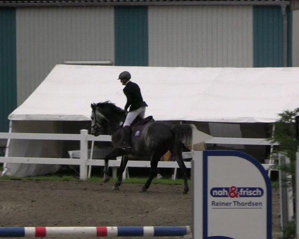 Reitturnier Mildstedt - JTN 2023