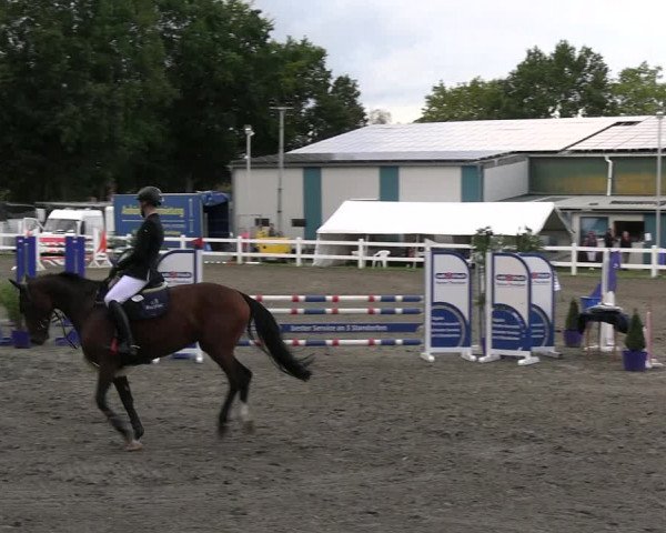 Reitturnier Mildstedt - JTN 2023