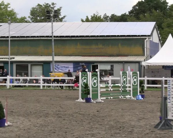 Reitturnier Mildstedt - JTN 2023