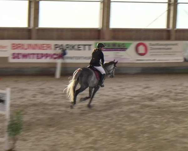 Reitturnier Winterthur 2023