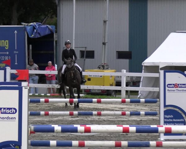 Reitturnier Mildstedt - JTN 2023