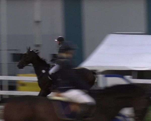 Reitturnier Mildstedt - JTN 2023