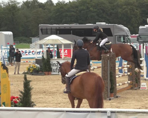 Reitturnier Ranshofen - Braunau am Inn 2023