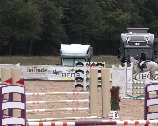 Reitturnier Ranshofen - Braunau am Inn 2023