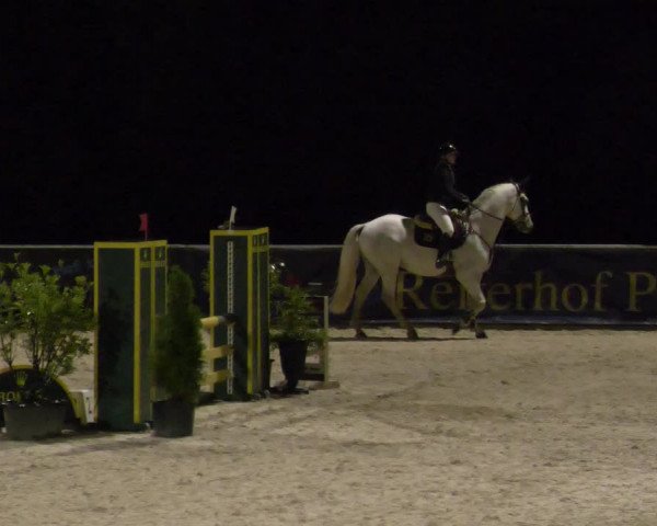 Reitturnier Karlsfeld 2023