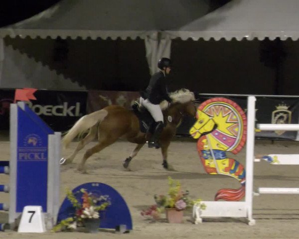 Reitturnier Karlsfeld 2023