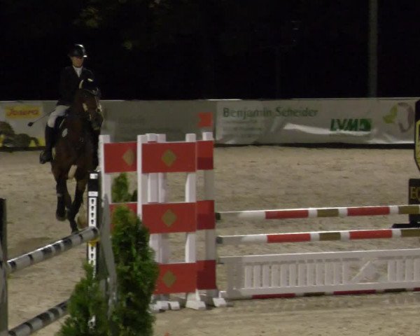 Reitturnier Karlsfeld 2023