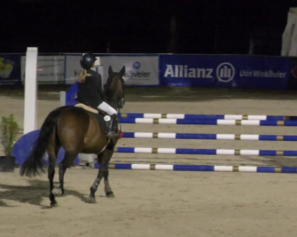 Reitturnier Karlsfeld 2023