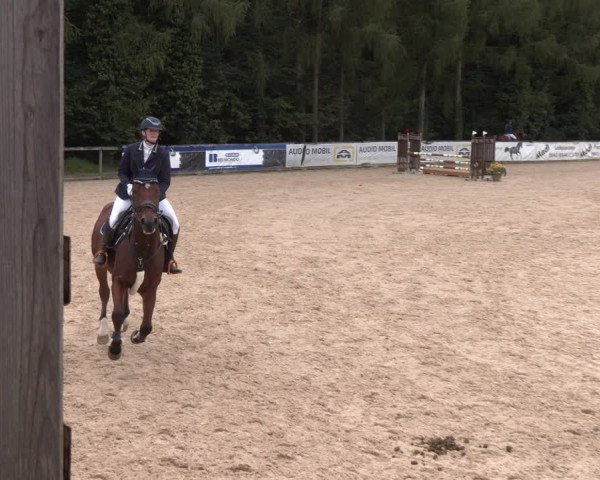 Reitturnier Ranshofen - Braunau am Inn 2023